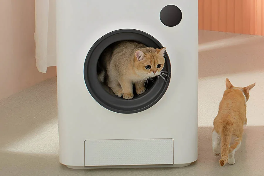 cat robot litter